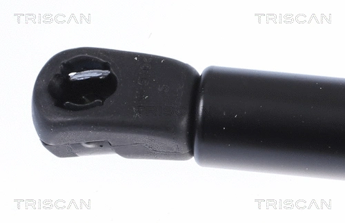 Gas Spring, boot/cargo area
