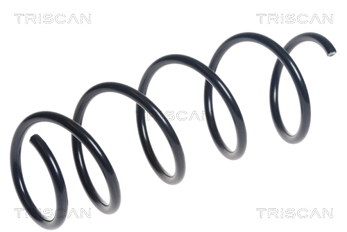 Suspension Spring (8750 15209)