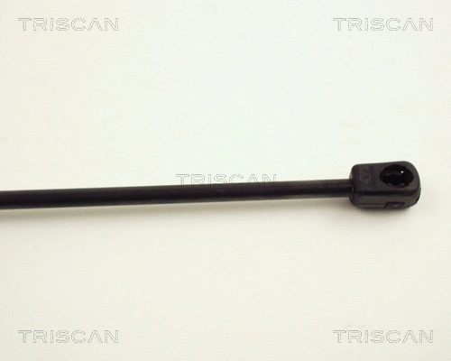 Gas Spring, boot/cargo area