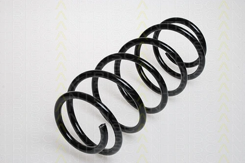 Suspension Spring (8750 2479)