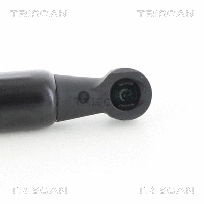 Gas Spring, bonnet