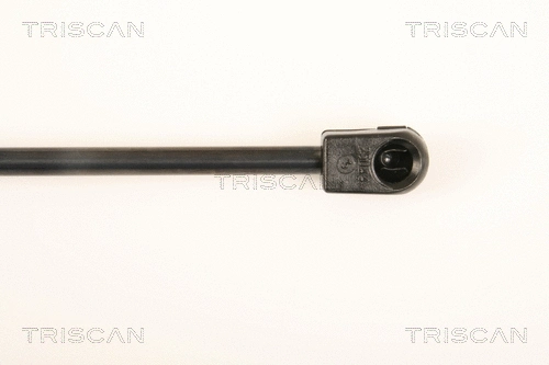 Gas Spring, boot/cargo area
