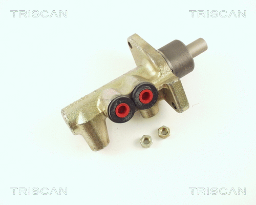 Brake Master Cylinder (8130 24123)