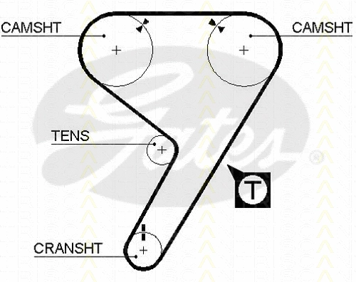 Timing Belt