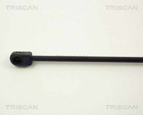 Gas Spring, boot/cargo area