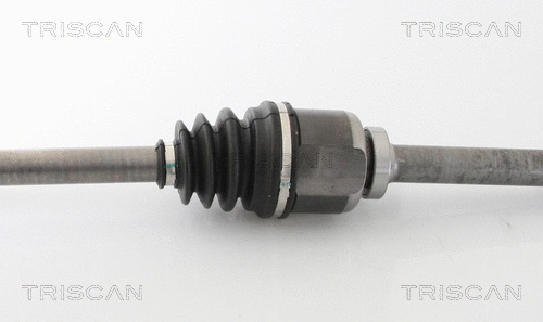 Drive Shaft