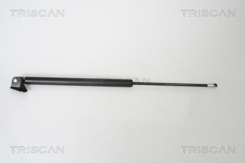 Gas Spring, boot/cargo area (8710 50240)