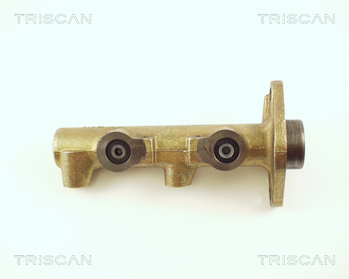 Brake Master Cylinder (8130 65100)