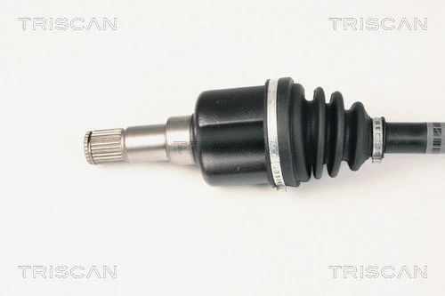 Drive Shaft