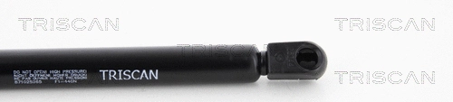 Gas Spring, boot/cargo area