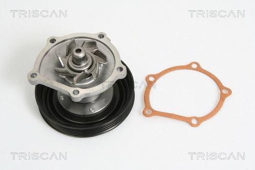 Water Pump, engine cooling (8600 69006)