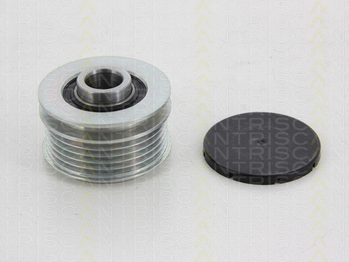 Alternator Freewheel Clutch (8641 434003)
