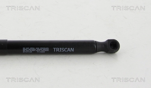Gas Spring, bonnet