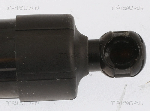 Gas Spring, boot/cargo area