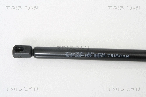 Gas Spring, boot/cargo area