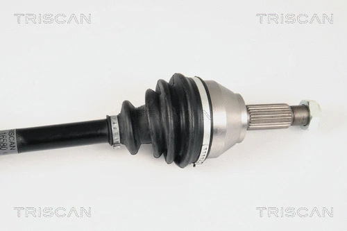 Drive Shaft