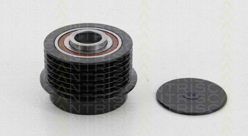 Alternator Freewheel Clutch (8641 134006)