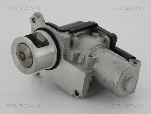 EGR Valve (8813 29002)