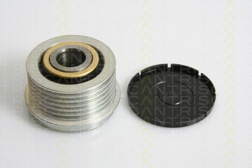 Alternator Freewheel Clutch (8641 164003)