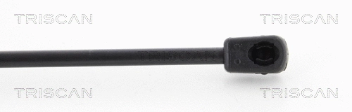 Gas Spring, boot/cargo area