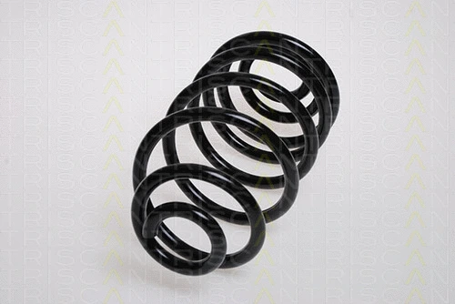 Suspension Spring (8750 24129)