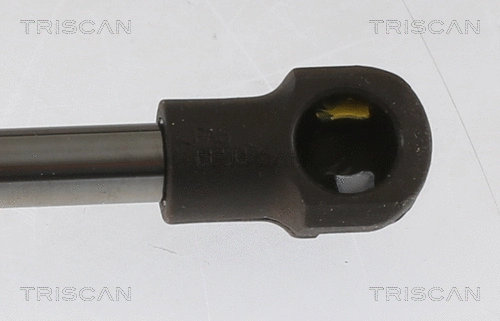 Gas Spring, bonnet