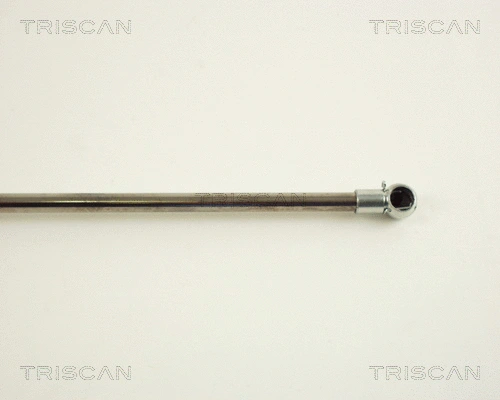 Gas Spring, boot/cargo area