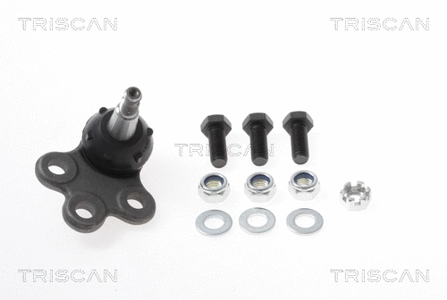 Ball Joint (8500 80104257)