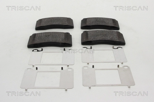 Brake Pad Set, disc brake (8110 29072)
