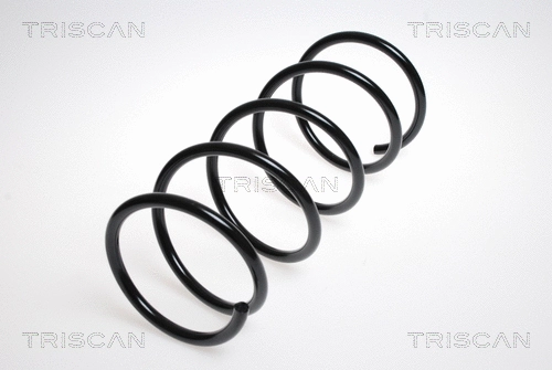 Suspension Spring (8750 42103)