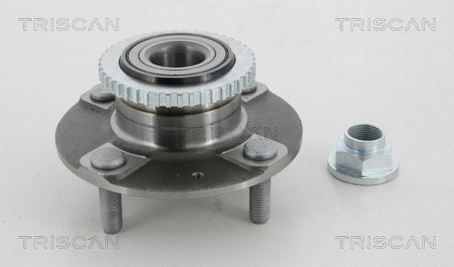 Wheel Bearing Kit (8530 43234)