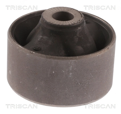 Mounting, control/trailing arm (8500 43841)