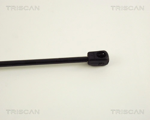 Gas Spring, boot/cargo area