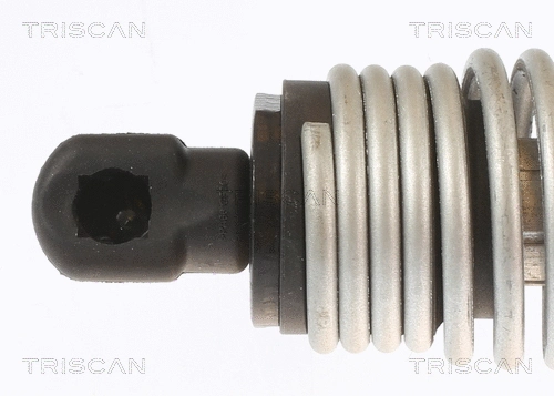 Gas Spring, boot/cargo area
