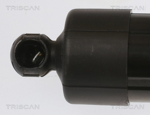 Gas Spring, boot/cargo area