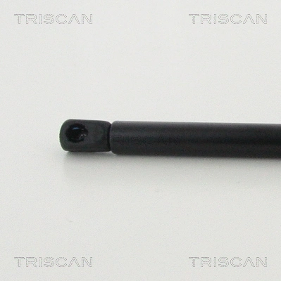 Gas Spring, boot/cargo area