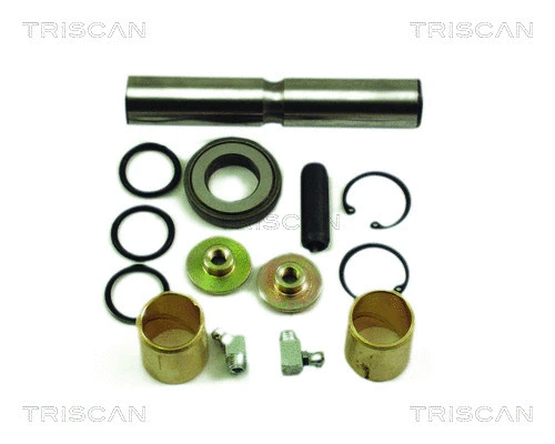 Repair Kit, kingpin (8500 2362)