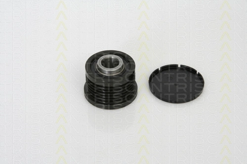 Alternator Freewheel Clutch (8641 104008)