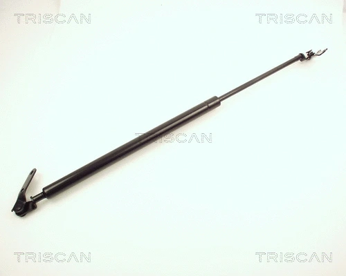 Gas Spring, boot/cargo area (8710 13226)