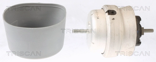 Mounting, engine (8505 29108)