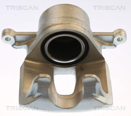 Brake Caliper (8175 13114)