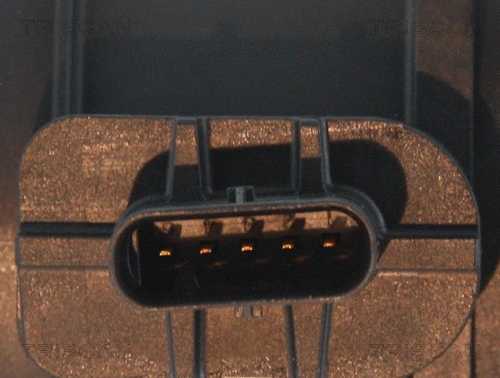 Mass Air Flow Sensor