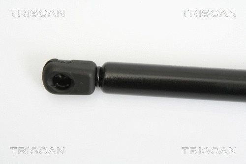 Gas Spring, bonnet