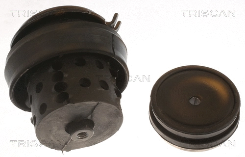 Mounting, engine