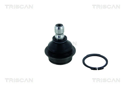 Ball Joint (8500 21525)