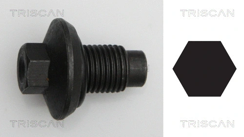 Screw Plug, oil sump (9500 1009)