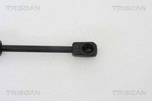 Gas Spring, boot/cargo area