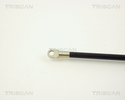 Gas Spring, boot/cargo area