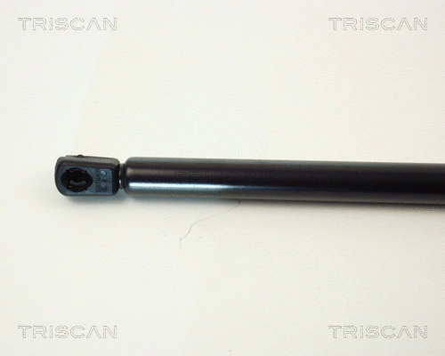 Gas Spring, boot/cargo area