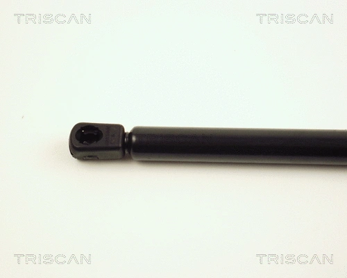Gas Spring, boot/cargo area